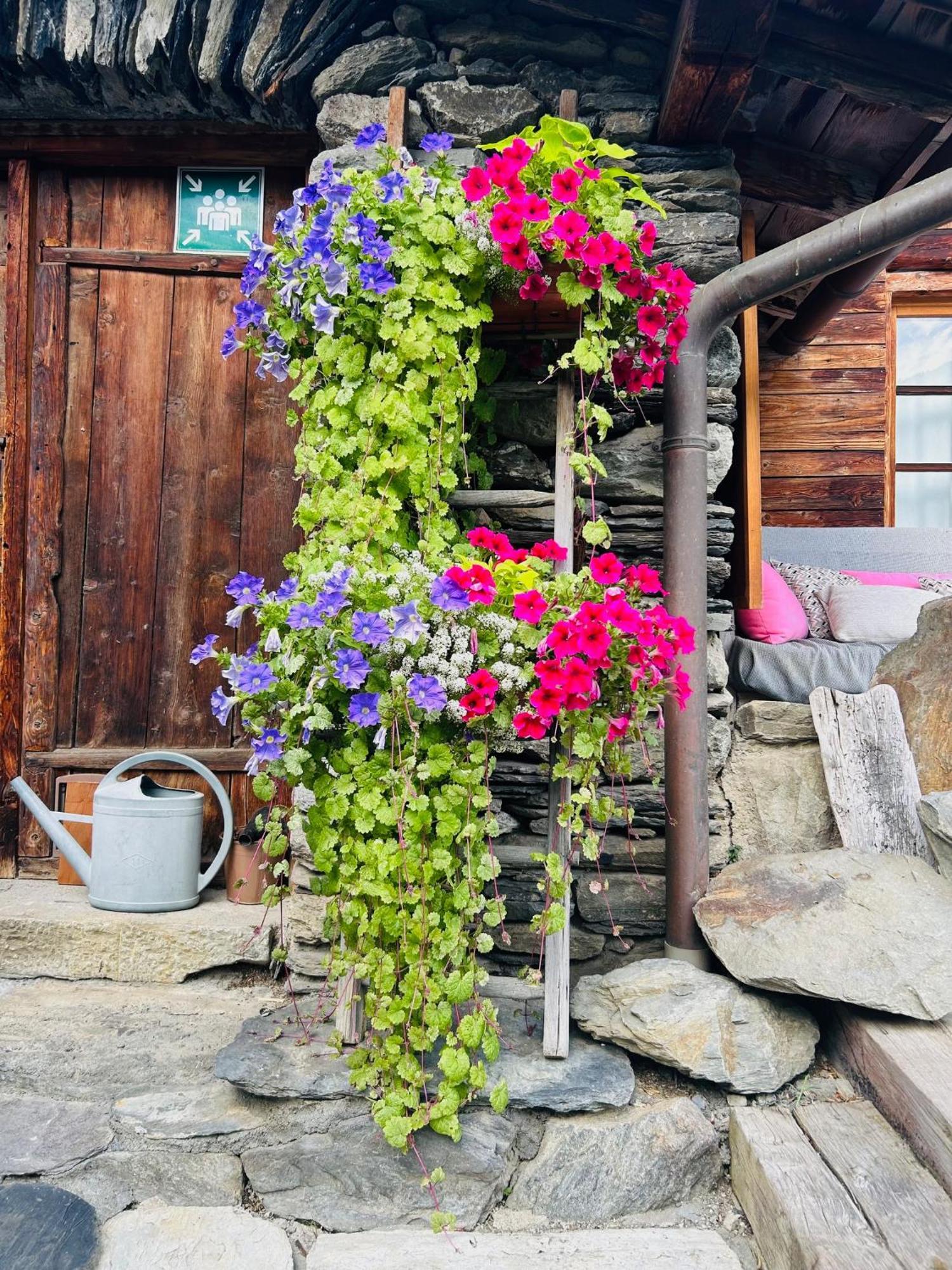 La Ferme D'Angele Bed and Breakfast Bourg-Saint-Maurice Εξωτερικό φωτογραφία
